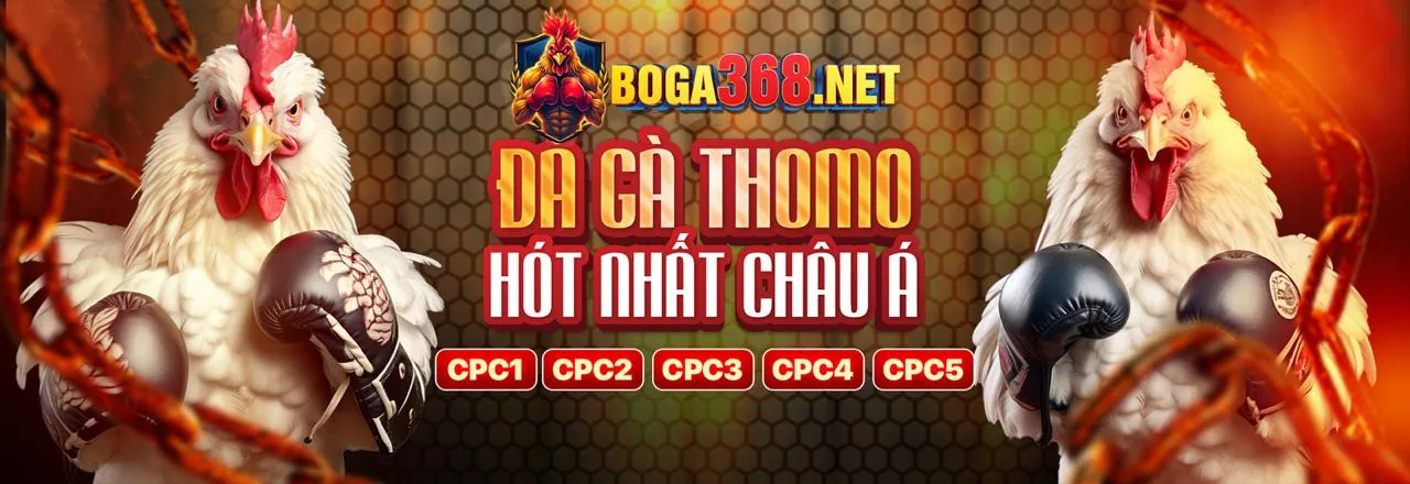 Đá Gà Trực Tuyến Hấp Dẫn tại dh88 Trang Chủ